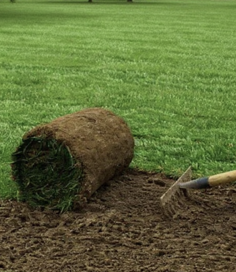 Bagger bei Erdarbeiten